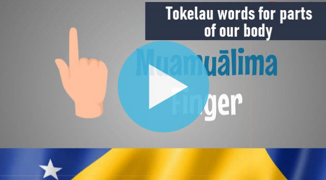Tokelau words for parts of our body