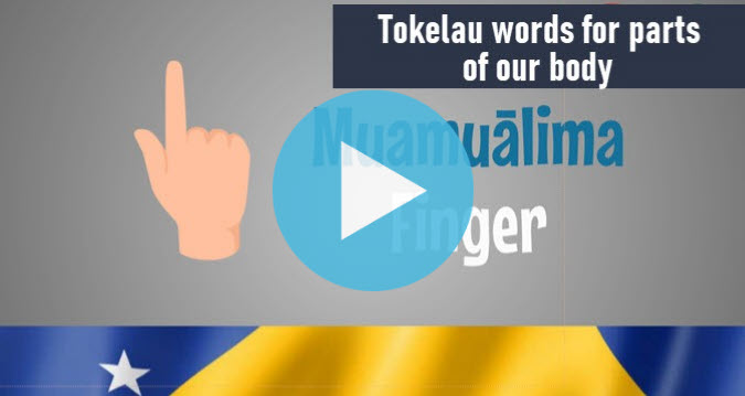 Tokelau words for parts of our body