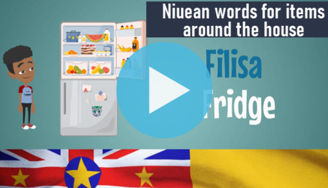 Niuean words for items around the house