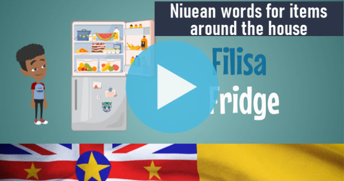 Niuean words for items around the house