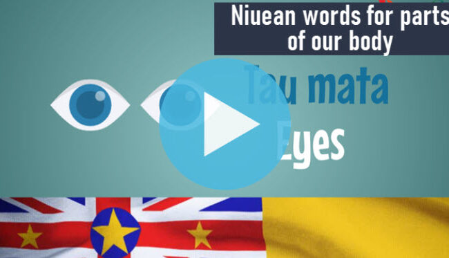 Niuean words for parts of our body tile